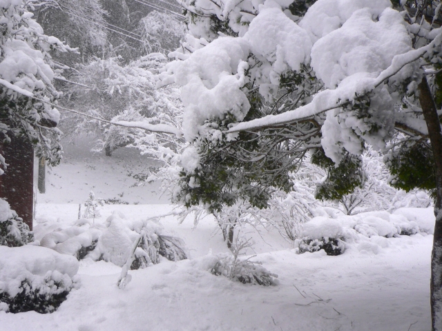 除雪バケットとは？効率的な除雪作業を実現する選び方と活用ポイント